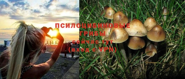 гидра Алзамай