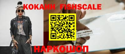 дмт Кимры
