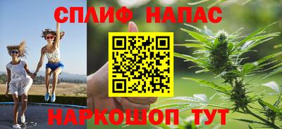 каннабис Кингисепп