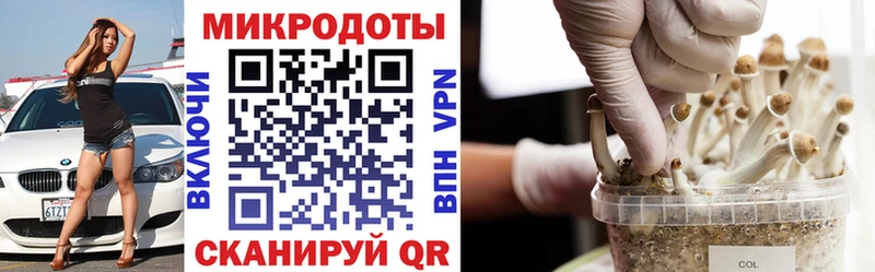 Галлюциногенные грибы Cubensis  хочу наркоту  ссылка на мегу tor  Красногорск 