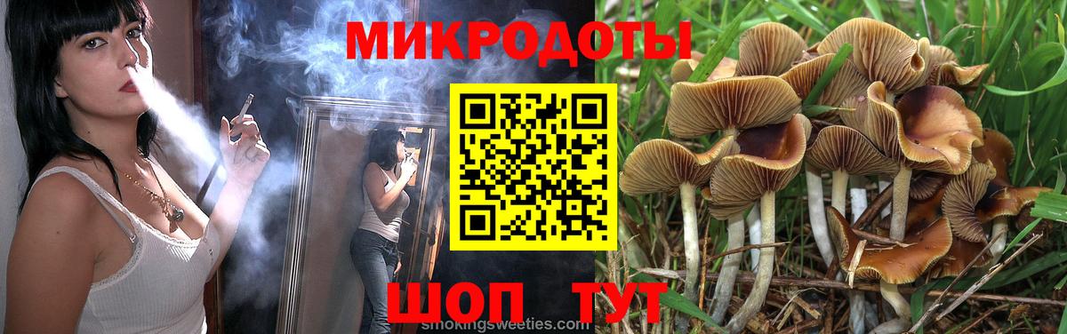 Псилоцибиновые грибы MAGIC MUSHROOMS  Вход с VPN  Красногорск 